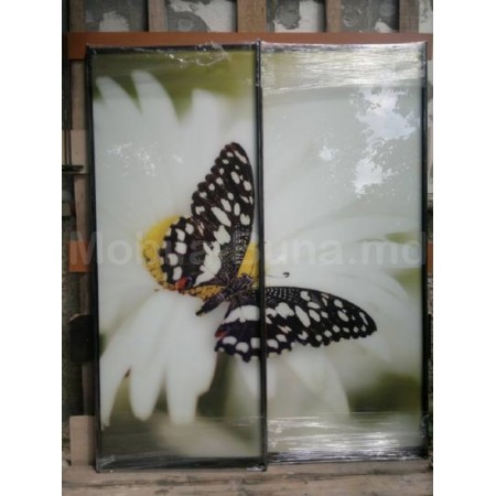 Раздвижные двери с фотопечатью А-21